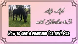 How to Give a Horse a Prascend or any Pill [upl. by Htebsle497]