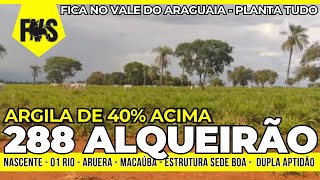 A MELHOR FAZENDA DO TOCANTINS  40 ARGILA  PLANTA TUDO  FAZENDA PLANA A VENDA NO TOCANTINS [upl. by Amabelle]