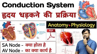 हृदय धड़कन  Heart Conductive System  Anatomy and Physiology  Anatomy in hindi  Physiology [upl. by Jenesia]