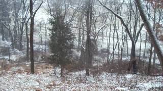 Winters First Snow Jason Ward Studios New Age Music Video [upl. by Kling]