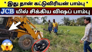 இதுதான் கட்டு விரியன் Common Krait Venomous Snake  JCB யில் சிக்கிய விஷப் பாம்பு 😱 SnakeSaga [upl. by Rivera]