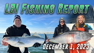 LBI Fishing Report 1212023  November To Remember amp December Is Opening Strong [upl. by Rehpotirhc412]