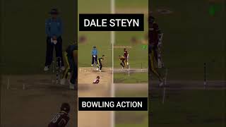 Dale Steyn Bowling Action [upl. by Dorwin]