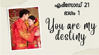 You are my destiny malayalam explanation  ep 21 [upl. by Nagear]