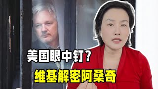 維基解密創始人阿桑奇，為啥被美國全球通緝？曝光美國多少秘密？ [upl. by Tyoh]