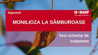 Monilioza un Tratament INOVATOR pentru Samburoase  Signum® [upl. by Erdnaid329]