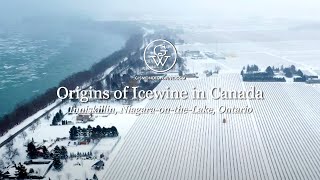 Inniskillin How Icewine Began in Canada [upl. by Clippard600]