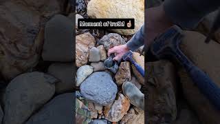 Cracking Rocks on the beach for Fossil Treasure 🏖 fossilhunting fossils shorts coast rock sea [upl. by Anitsyrk]