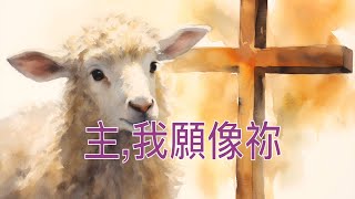 【主，我願像你】生命聖詩（粵語歌詞）詩歌合唱 [upl. by Yerffe]