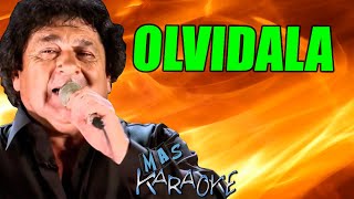 OLVIDALA 🍏 Los Palmeras Mas Karaoke [upl. by Salot]