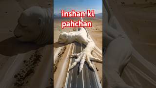 Insan ki pahchanUrdu Shayari  Human identityUrdu poetry shorts urdushayari khurshidrashid [upl. by Nesrac]