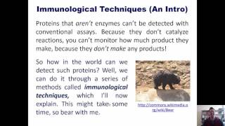 Chapter 5 – Techniques in Protein Biochemistry Part 2 of 5 [upl. by Manus799]