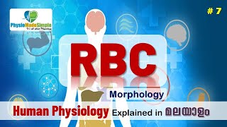 Ep7  RBC  Morphology  Malayalam [upl. by Loredana]