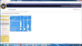 Copying Financial Data from SECgov [upl. by Ericksen915]