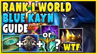 2024 ULTIMATE BLUE KAYN GUIDE Rank 1 Kayn WORLD How to play Kayn  League of Legends [upl. by Crowe144]