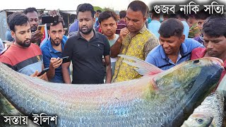 কেউ কোনদিন ভাবে নাই পদ্মার ইলিশ এত সস্তায় পাওয়া যাবে  today hilsa fishmarket in padma river [upl. by Gwenn]