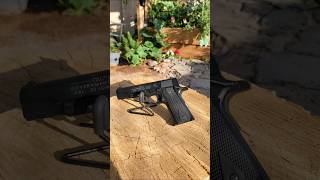 Walther 1911 Colt Government Tribute 22 LR Pistol 121 [upl. by Naghem]