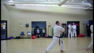 Kata Pinan Yondan Seidokan Karate Performed by Francois Auclair [upl. by Droffig]