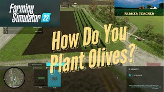 How Do You Plant Olives on Farming Simulator 22 [upl. by Aimac]