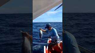 Catching skipjack tuna fishingtipsandtechniques fishing bestfishingtechniques fishingmethods [upl. by Bautram]