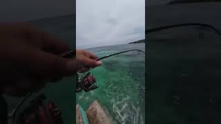 Sarap Ng Talakitok fishing fishingvideo lurefishing fishingvideo mantap [upl. by Ericka]