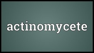 Actinomycete Meaning [upl. by Juster]