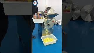 Vegetable Slicer Fruit Dicer Potato Cutting Machine [upl. by Aihsotal]