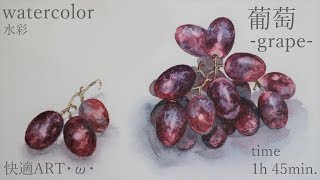 【watercolor】grape・ω・ぶどう【水彩】 [upl. by Alikat]