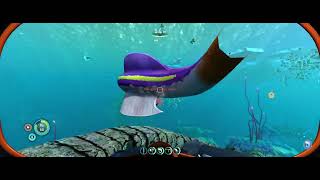 Subnautica Below Zero  2 Freedom Mode Exploring and meeting Alan [upl. by Levon]