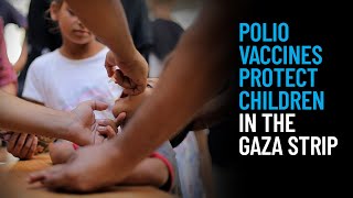 Polio Vaccines Protect Children in the Gaza Strip [upl. by Dnaloy]