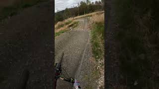 Smells Like Tweed Spirit Glentress MTB Trail Part 1 [upl. by Htebasile]