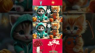 Compilation of cats shorts cat cats [upl. by Daigle438]