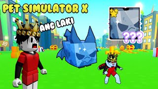 Pet Simulator X  HUGE GARGOYLE DRAGON 😍  Roblox Tagalog [upl. by Bourke]