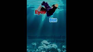 Eyes Blue Like The Atlantic💙💙  roblox [upl. by Dallman]