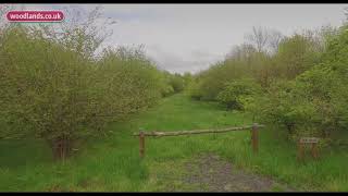 Balmule Woodlands For Sale [upl. by Vinita]