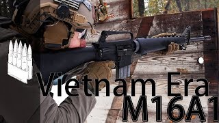 Vietnam Era M16A1 Apex Gun Parts [upl. by Hassett]