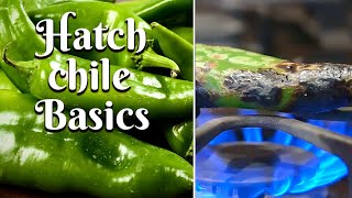 HATCH CHILE BASICS What You Need to Know About Hatch ChileRoasting Peeling amp Freezing [upl. by Adelle941]