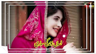 new saraiki song WhatsApp status HD ⭐ new saraiki status new WhatsApp saraiki status ❤️🥀 [upl. by Arne]