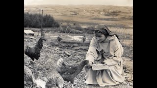 Sister Irene RTE 1992 Hermit A Humble Beginning [upl. by Iuqcaj]