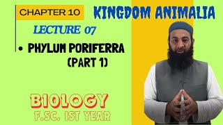 Parazoa – Porifera The Most Primitive Animals I Chapter 10 I FSc I First Year I biology I Lec 7 [upl. by Senoj]