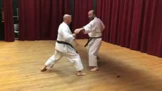 Heian Nidan Bunkai Movements 17 through 23 [upl. by Chaim]