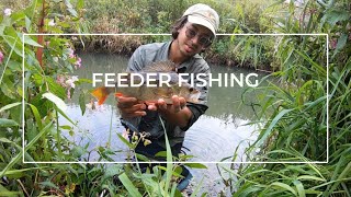 Feeder Fishing on the River Rother  Monsters and Maggots  Quiver Tip [upl. by Aicelf]