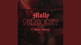 MOLLY PERCOCET [upl. by Halas205]