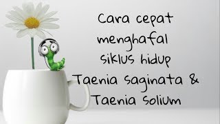 Cara cepat menghafal siklus hidup Taenia saginata amp Taenia solium [upl. by Yrehcaz]