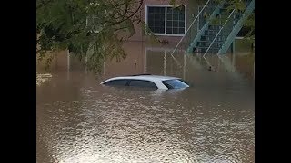 California drowned under water [upl. by Akiret]