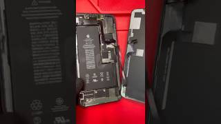 iPhone 11 Pro Max Screen Replacement apple iphone asmr shorts fyp [upl. by Augustin]