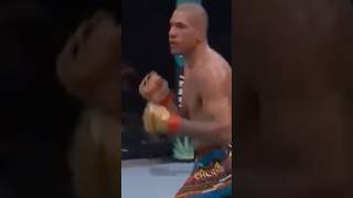 Alex Pereira VS khalil Rountree highlights highlight ufc mma boxing [upl. by Ydnagrub883]