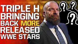 Triple H Bringing Back MORE Released WWE Stars  MAJOR Creative Plans For Absent Raw Star [upl. by Marou106]