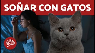 ¿Qué significa SOÑAR con GATOS 🐱 SIGNIFICADO de soñar con gatos 💤 [upl. by Gilges235]