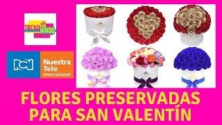 Arreglos con flores preservadas son la tendencia para regalar en San Valentín [upl. by Skricki]